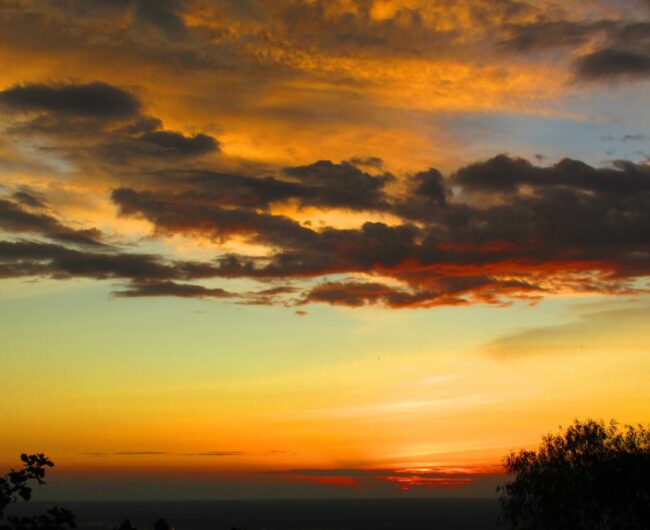 e IMG_3960