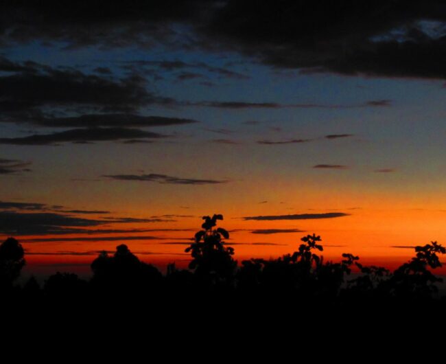 e IMG_3972