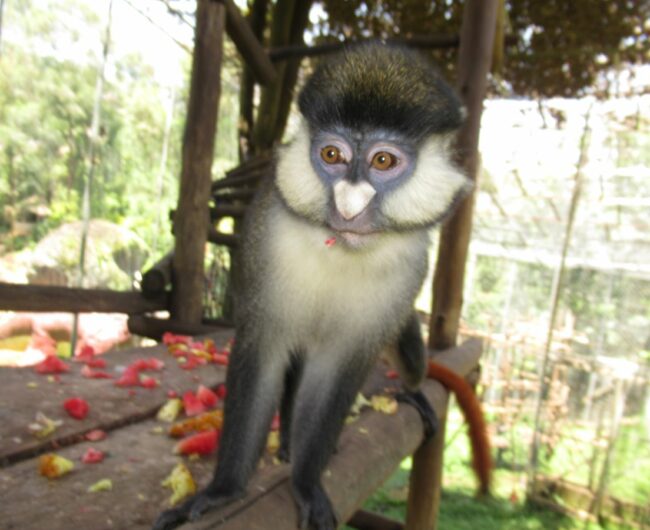 r IMG_4123