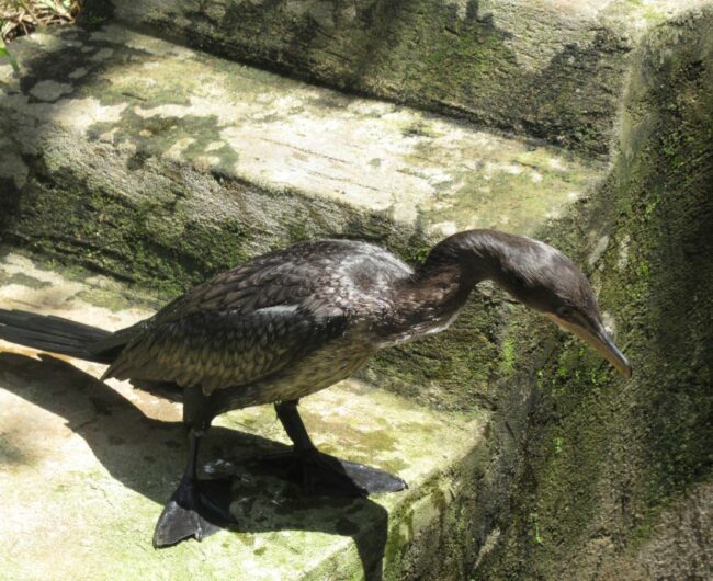 r IMG_4164