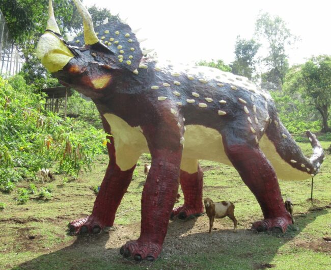 1 Tri dino