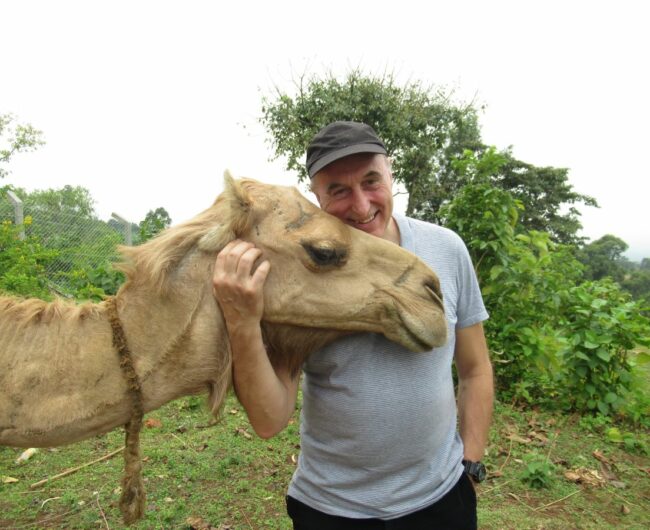 1 camel