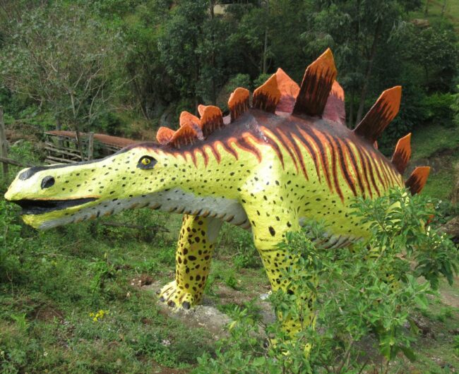 1 spines dino 3