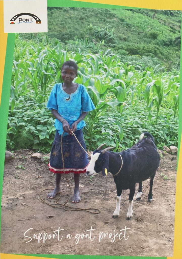 Goat Project